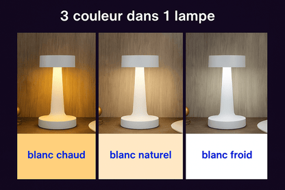 Lampe de table USB rechargeable | Lumipro - Decoration pour maison