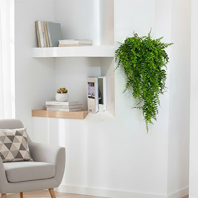 plante artificielle tombante decor mur cache fissures