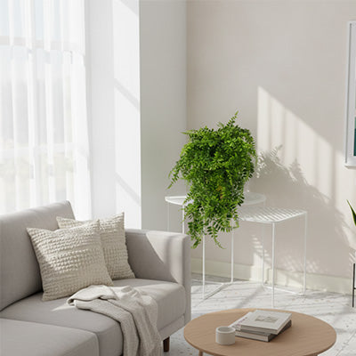 plante artificielle tombante donne vie endroits sombres